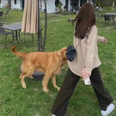 法医宋慈